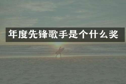 年度先锋歌手是个什么奖