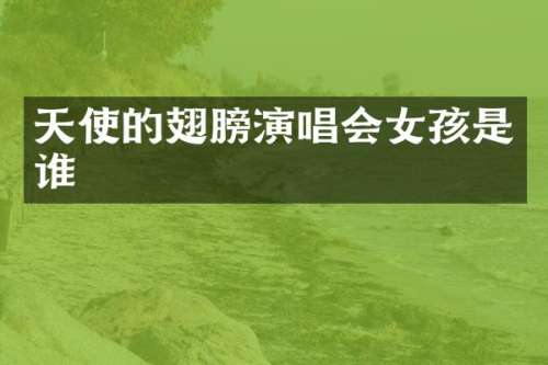 天使的翅膀演唱会女孩是谁