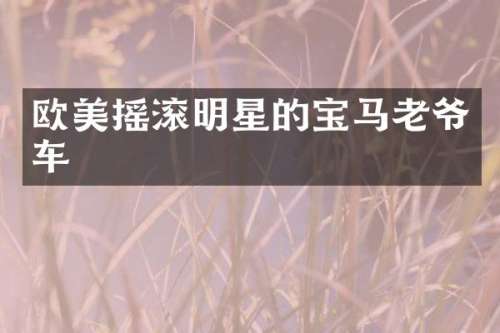 欧美摇滚明星的宝马老爷车