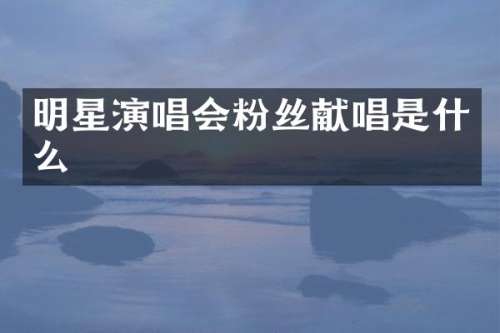 明星演唱会粉丝献唱是什么