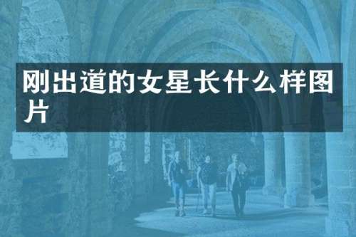 刚出道的女星长什么样图片