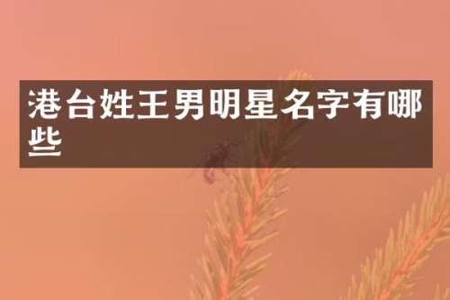 港台姓王男明星名字有哪些