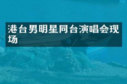 港台男明星同台演唱会现场