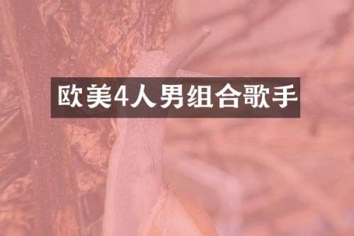欧美4人男组合歌手
