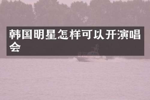 韩国明星怎样可以开演唱会