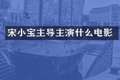 宋小宝主导主演什么电影