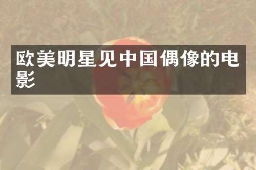 欧美明星见中国偶像的电影