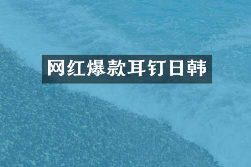 网红爆款耳钉日韩