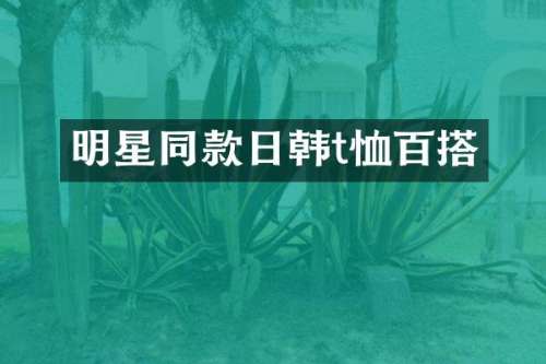 明星同款日韩t恤百搭