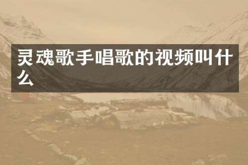 灵魂歌手唱歌的视频叫什么