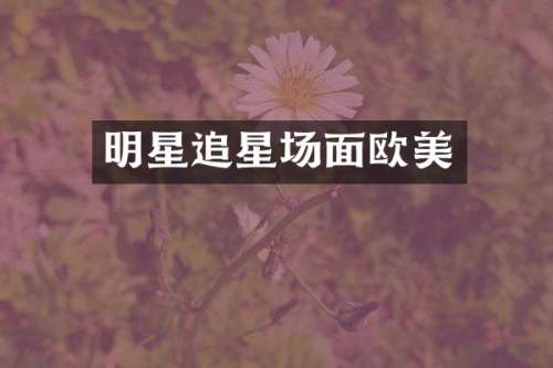 明星追星场面欧美