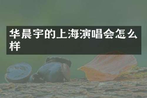 华晨宇的上海演唱会怎么样
