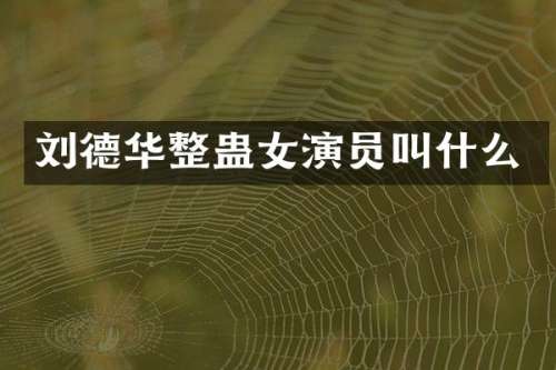刘德华整蛊女演员叫什么