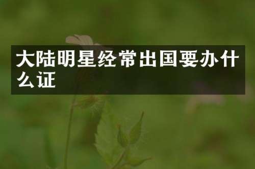 大陆明星经常出国要办什么证