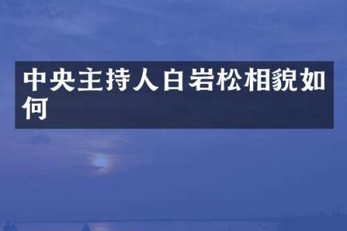 中央主持人白岩松相貌如何