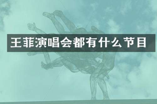 王菲演唱会都有什么节目