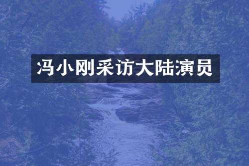 冯小刚采访大陆演员