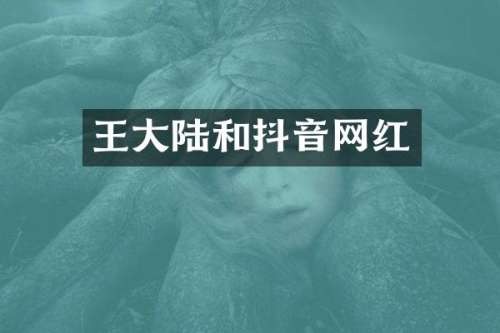 王大陆和抖音网红