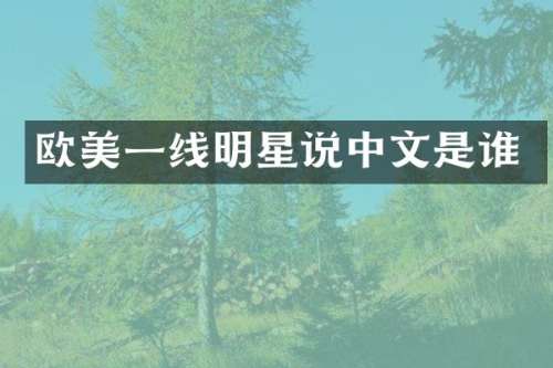 欧美一线明星说中文是谁