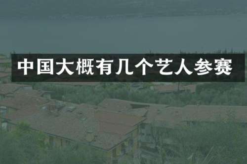 中国大概有几个艺人参赛