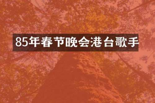 85年春节晚会港台歌手