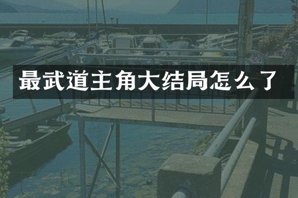 最武道主角大结局怎么了