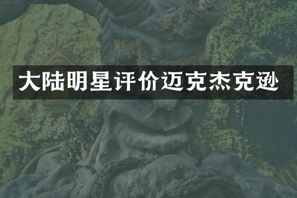 大陆明星评价迈克杰克逊