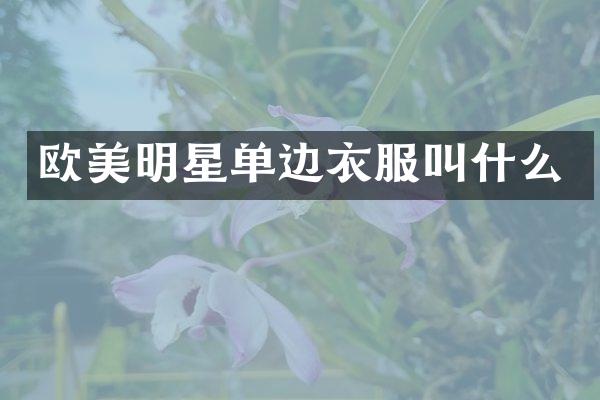 欧美明星单边衣服叫什么