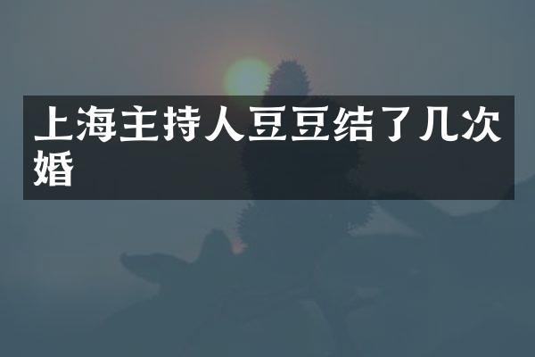 上海主持人豆豆结了几次婚
