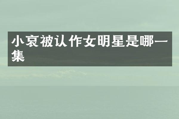 小哀被认作女明星是哪一集