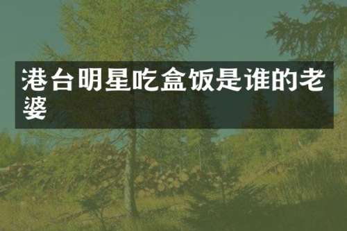 港台明星吃盒饭是谁的老婆