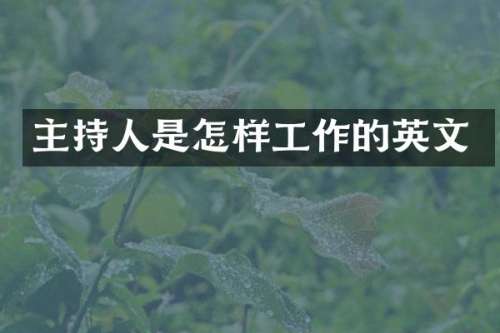 主持人是怎样工作的英文