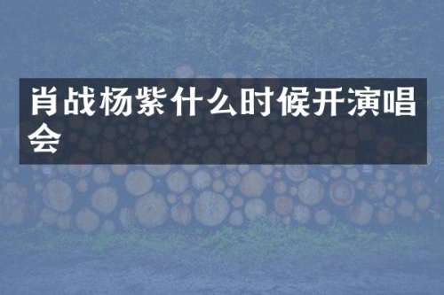 肖战杨紫什么时候开演唱会