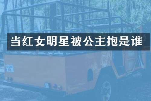 当红女明星被公主抱是谁