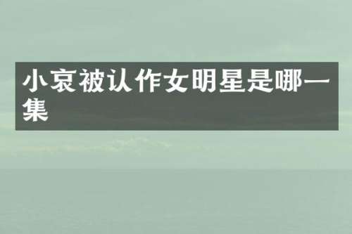 小哀被认作女明星是哪一集