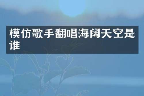 模仿歌手翻唱海阔天空是谁