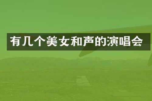有几个和声的演唱会