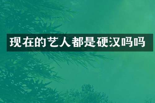 现在的艺人都是硬汉吗吗