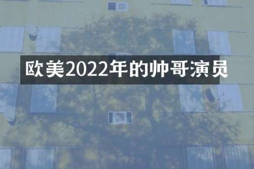 欧美2022年的帅哥演员