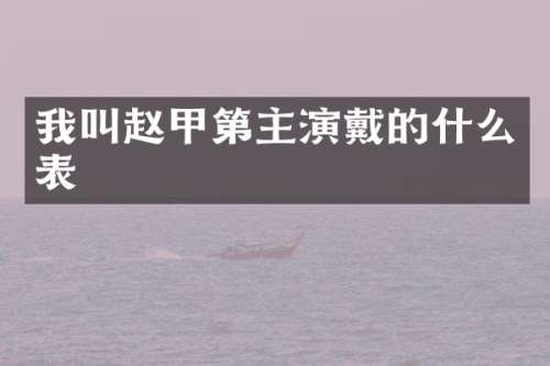 我叫赵甲第主演戴的什么表