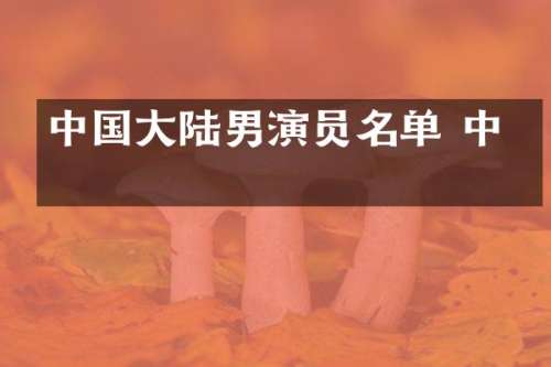 中国大陆男演员名单 中年