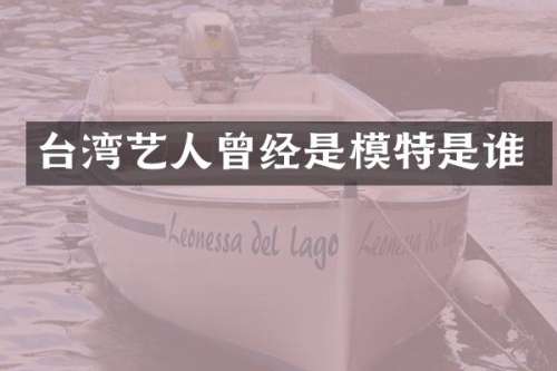 台湾艺人曾经是模特是谁