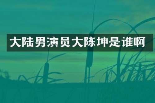 大陆男演员大陈坤是谁啊