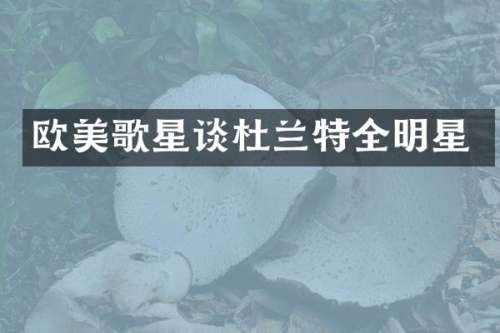 欧美歌星谈杜兰特全明星