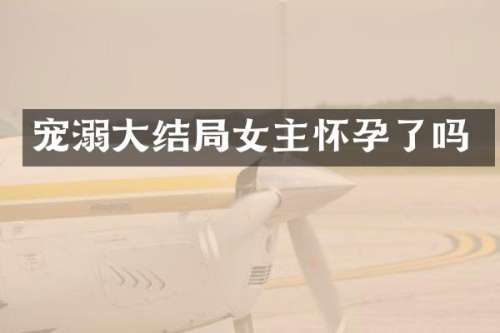 宠溺大结局女主怀孕了吗