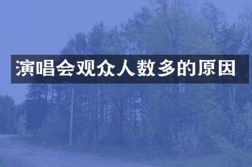 演唱会观众人数多的原因