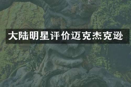 大陆明星评价迈克杰克逊