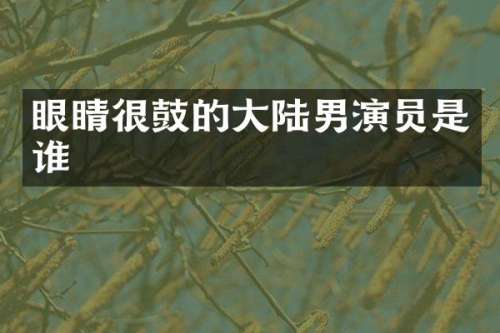 眼睛很鼓的大陆男演员是谁