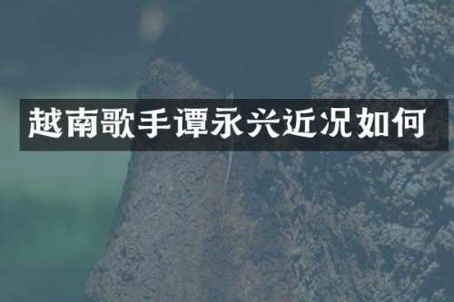 越南歌手谭永兴近况如何