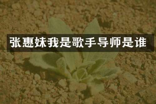 张惠妹我是歌手导师是谁
